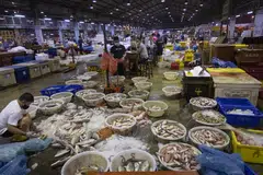 Enhancing systems at key food supply facilities such as Jurong Fishery Port would allow for better contract tracing and control measure enforcement in future outbreaks.