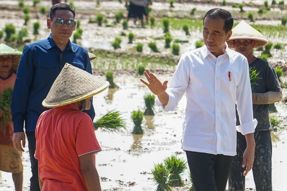 Indonesian President Joko Widodo remains bullish about the economy’s performance in the next 12 months, despite many forecasts that Indonesia will face downside risks as the global commodity boom loses momentum.