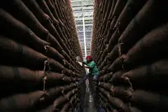 The debt plan is part of a series of measures prepared by the new government to revive a sluggish economy weighed down by declining exports and falling investor confidence.