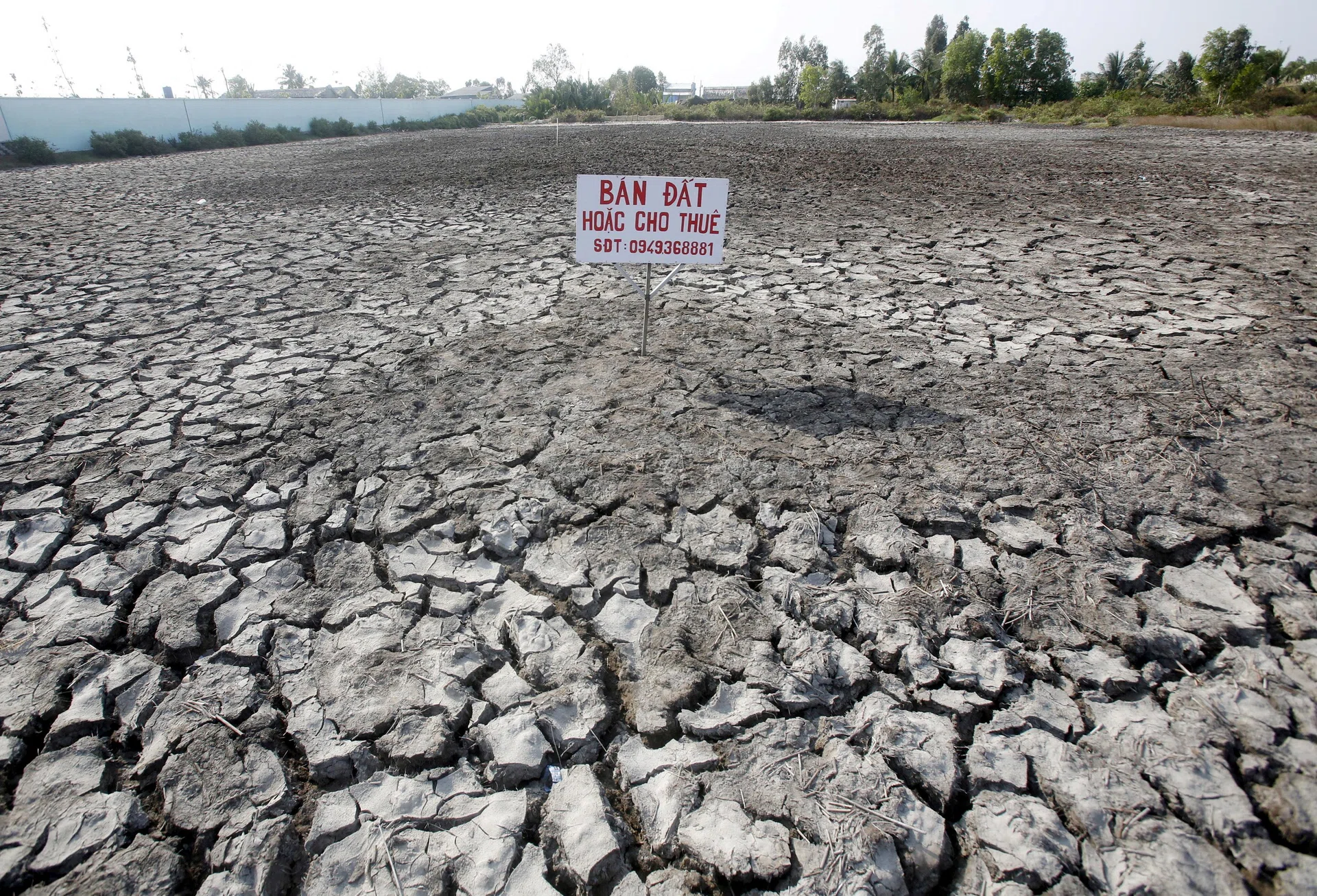 Stock trader’s guide to navigating rare ‘Super El Nino’: 5 sectors to watch as risks build