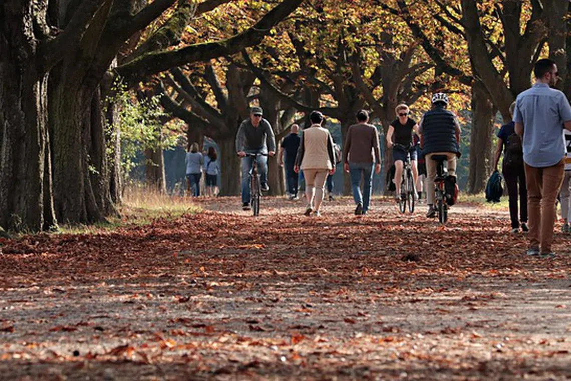 A study found that participants who walked through a park chose healthier food than those who had taken an urban walk.