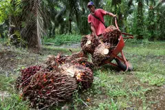 Indonesia's expanded land seizure drive heightens regulatory risks and potential billion-dollar fines, fuelling investor concerns over Indonesian asset security.