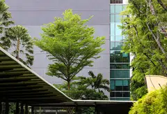 The sustainability of commercial buildings in Asia-Pacific is quickly transitioning from a “nice to have” to a “must have” – an essential component of the asset’s value.