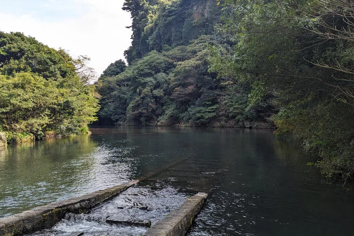 Emerging market borrowers are more likely to make use of biodiversity bonds because populations in these countries are more dependent on nature for their prosperity.