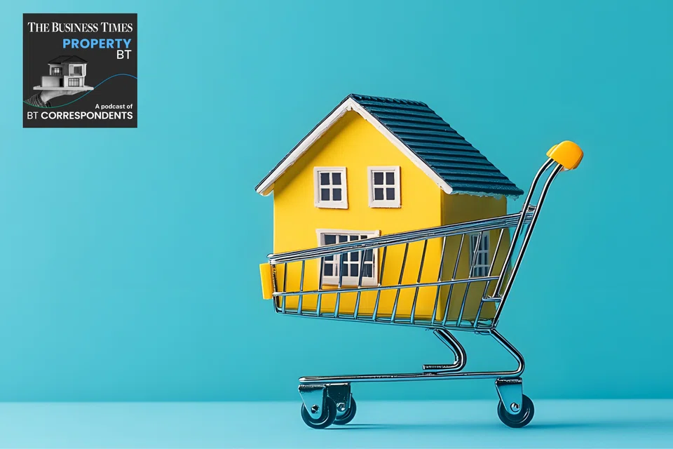 Prices of HDB resale flats rose 9.7 per cent in 2024, and could go up further this year.