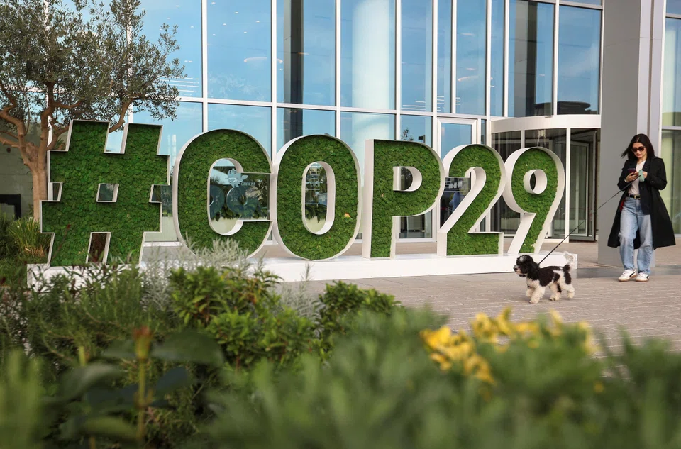 This year’s climate summit in Baku, Azerbaijan, has been dubbed the "finance COP", because of its focus on the setting of a new climate finance target. 