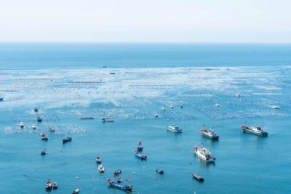 The blue economy is estimated at between US$3 trillion and US$6 trillion, says Meri Rosich, CEO of ocean sustainability consultancy Oceonomy.