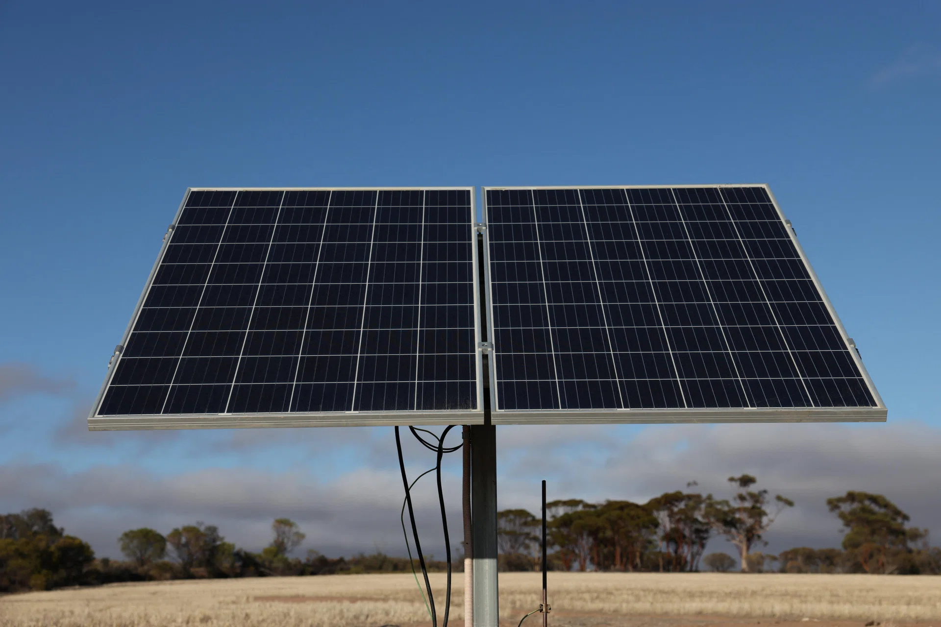 IEA trims renewables outlook as US policy shifts and China auction reforms weigh