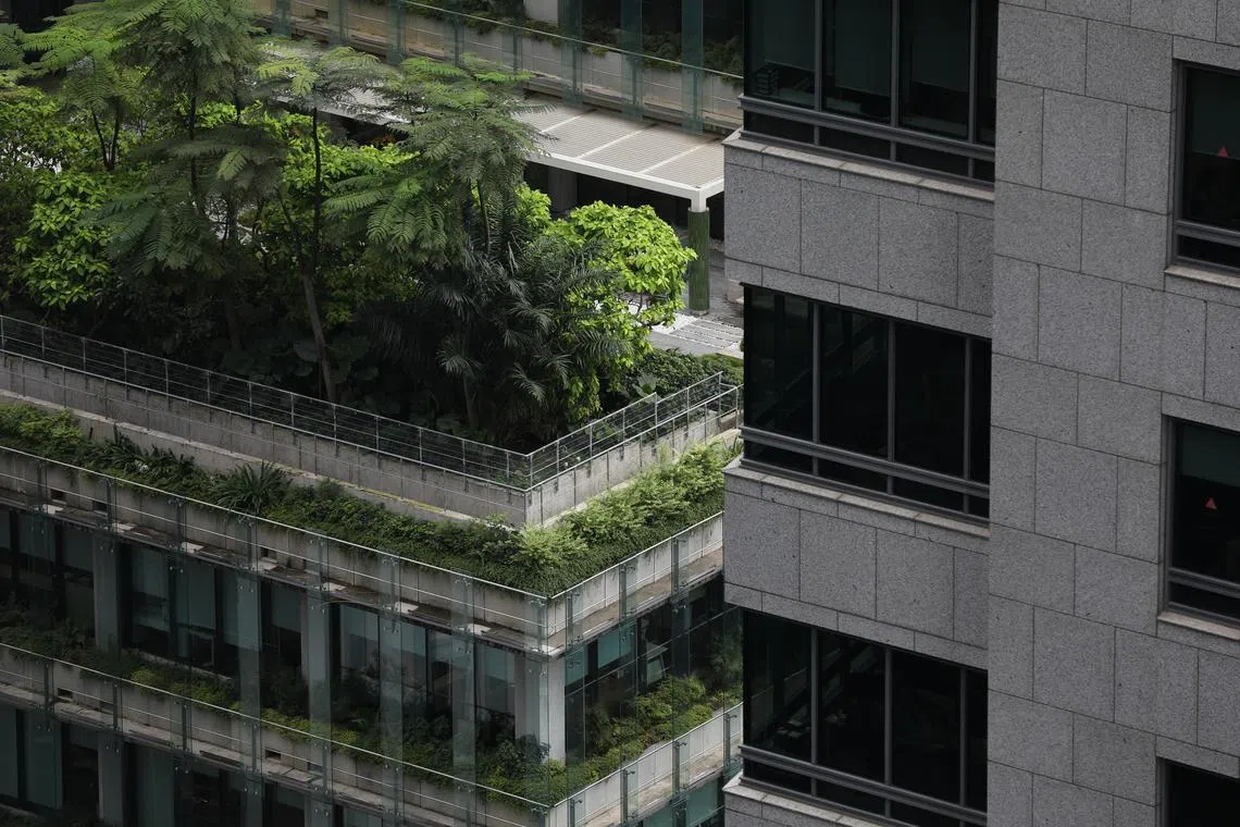 The pressure to adopt greener materials may eventually have to come from end-users of buildings. 