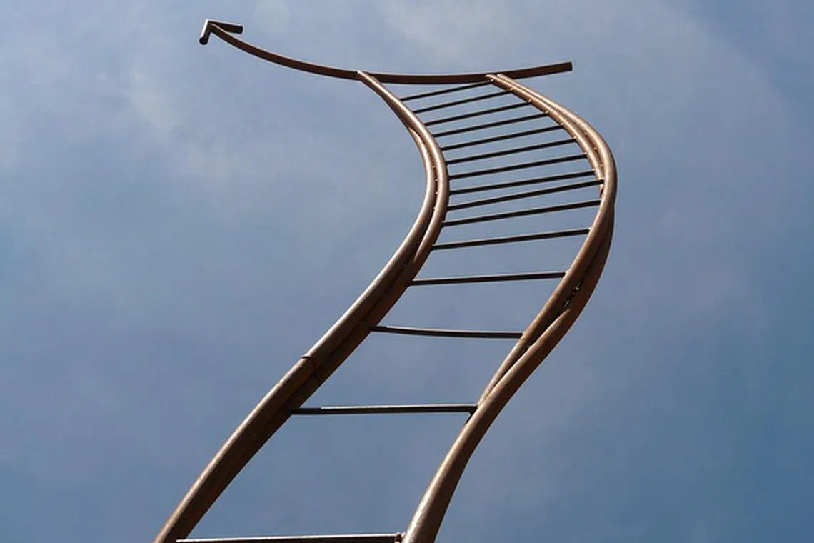 artwork, ladder, heavenly ladder