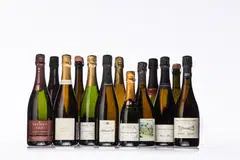 These 13 bottles, whether Champagne or not, are excellent selections, not only for the festivities but with a wide variety of foods.