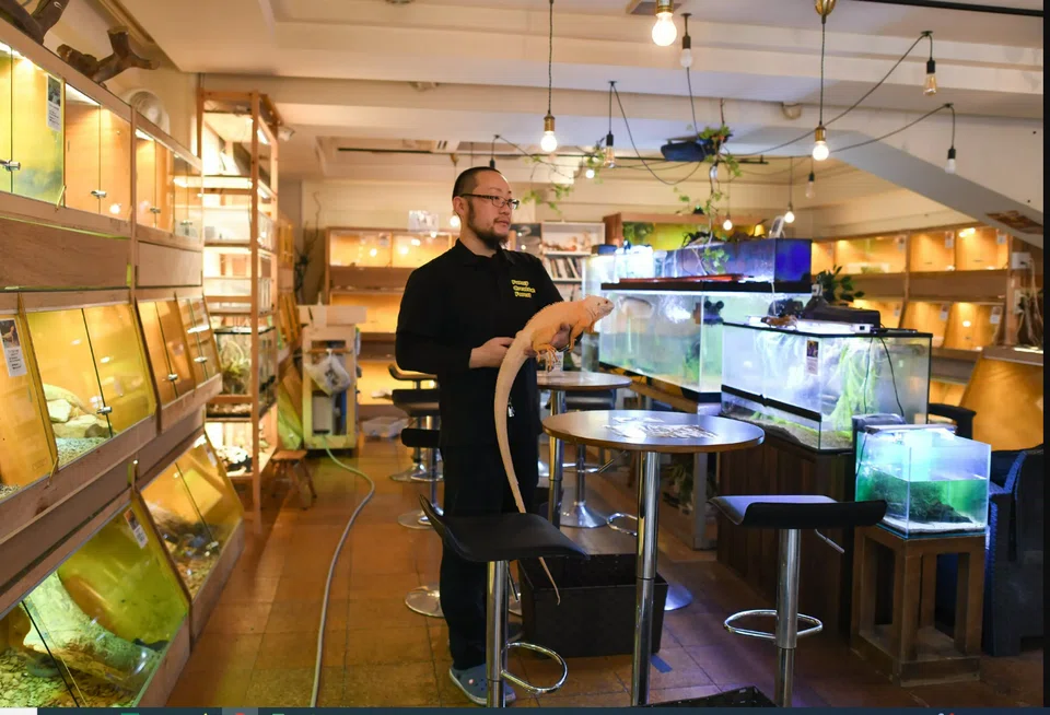 Kohei Kimura, owner of animal cafe Funny Creatures Forest, says he takes extra care to ensure he is not contributing to animal mistreatment or the keeping of protected species.