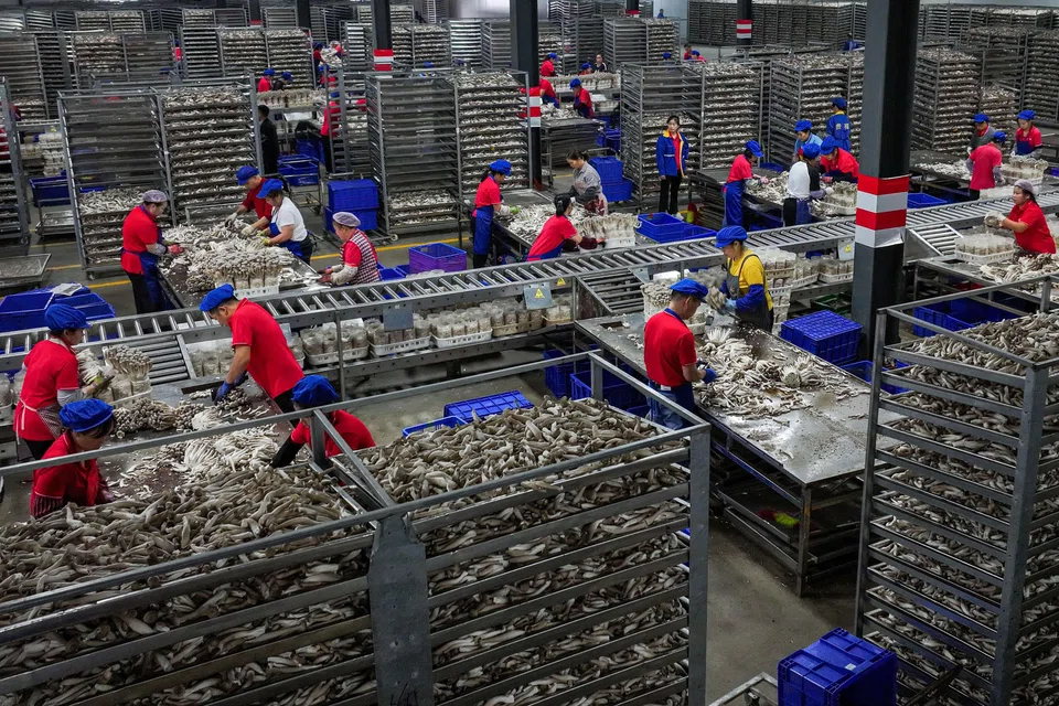 How can decent, inclusive, supportive institutions be so important when it is Beijing's repressive state capitalism that has triumphed over the past two decades?