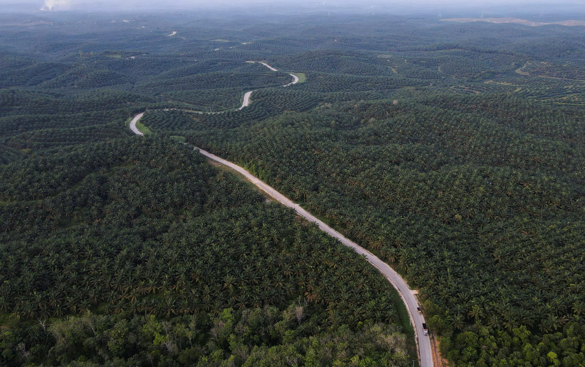 First Resources denies allegations of links to firms clearing forests ...