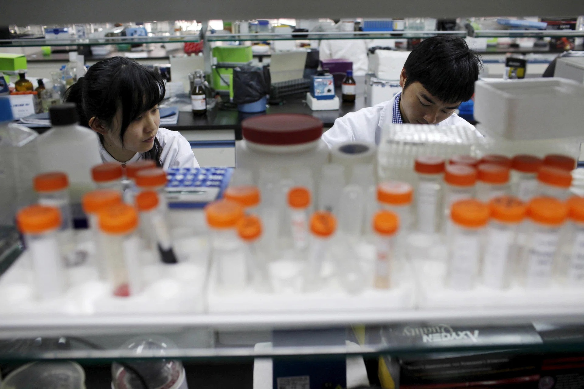 Lab monkeys for US$26,000 show China’s biotech quest to rival US