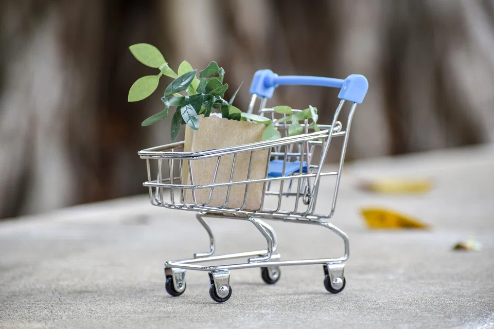 Packing vast sustainability knowledge into smaller servings can increase the impetus to act for both consumers and organisations alike.