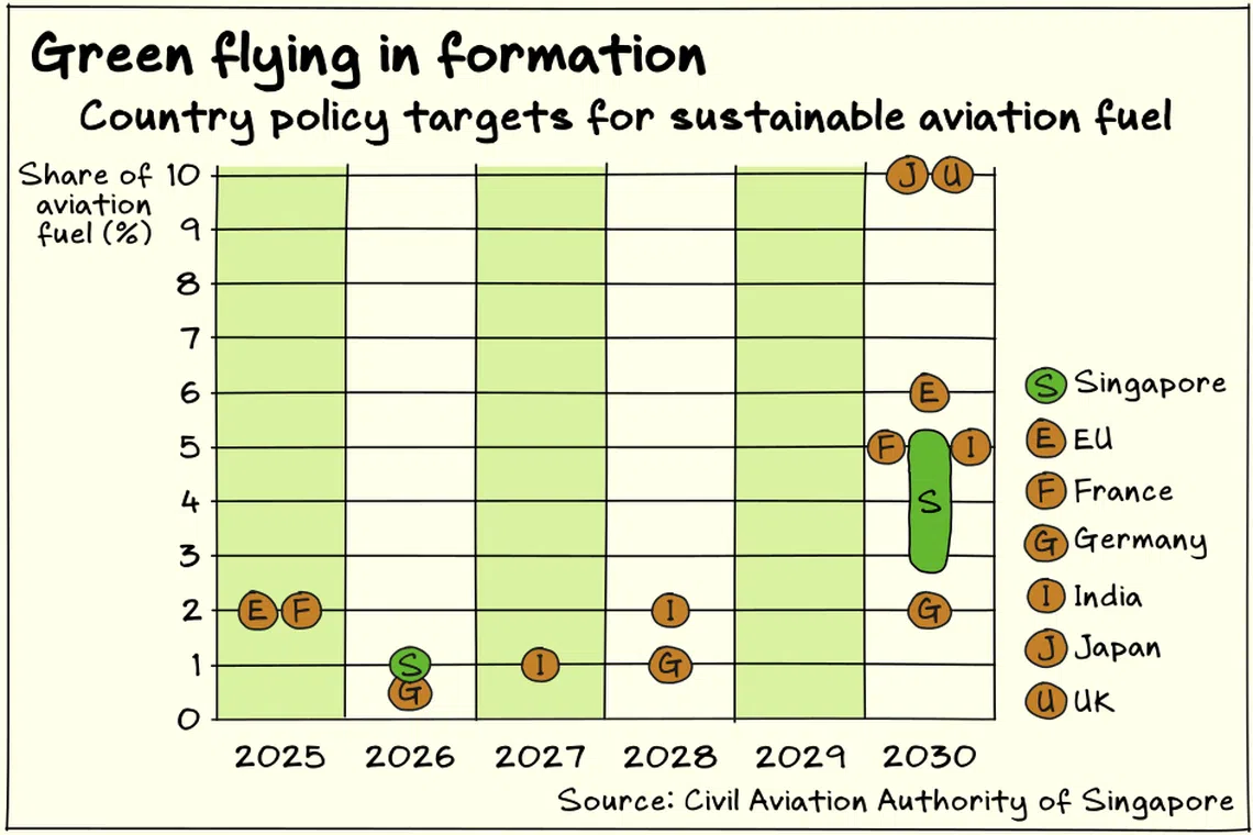 Most countries have adopted only modest targets for sustainable aviation fuel usage up to 2030.