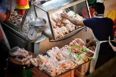 As more customers pivot to frozen chicken sources, cold storage facilities in Singapore are anticipating a spike in demand for use of their space.
