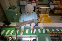 The gains are forecast to continue after the US and Japan reached a trade agreement with terms considered more favourable to Japan than had been feared.