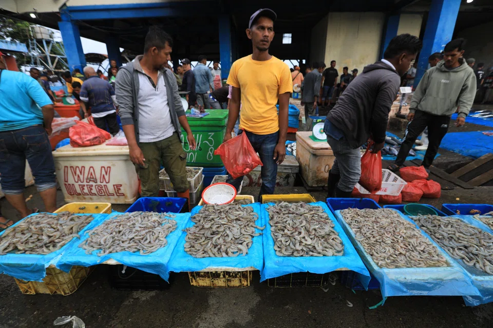 Traders sell shrimp at the fish and shrimp auction at Lampulo, Banda Aceh, Indonesia, Nov 4, 2025. Indonesia began issuing certificates proving shrimp shipments to the US are free from radioactive contamination after the US Food and Drug Administration (FDA) found traces of the dangerous radionuclide Cs-137 in a sample in early August, 2025. 