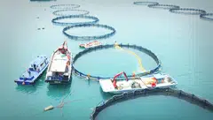 The company has harvested all its barramundi in Singapore in June, due to outbreaks caused by the scale drop disease virus.