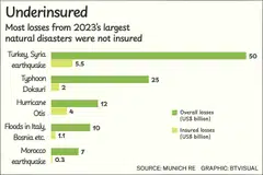 Insufficient insurance hinders post-disaster economic recovery and could feed into bigger crises, writes ESG correspondent Sharanya Pillai.