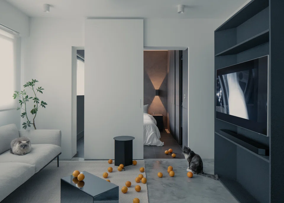 A narrow slit offers a peek into the bedroom from the living area.