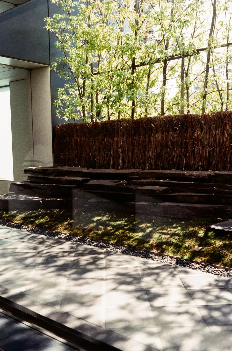 Sahsya Kanetanaka  in Aoyama.