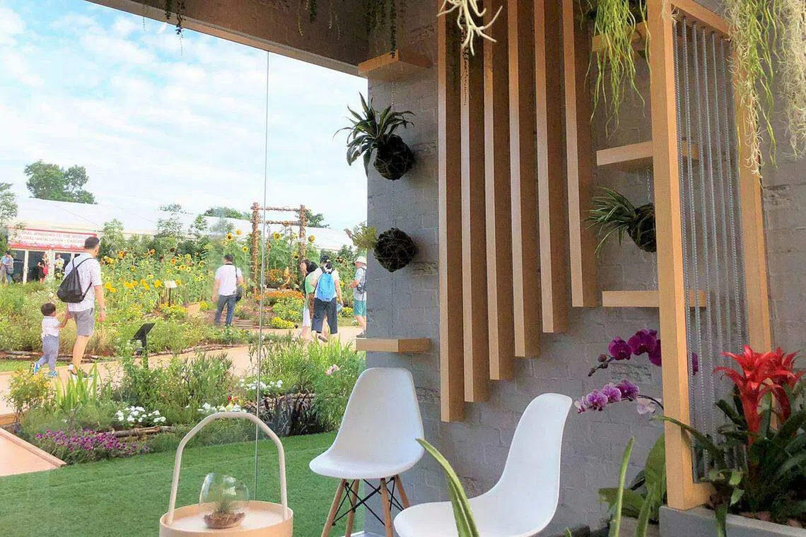 Get your green fingers on