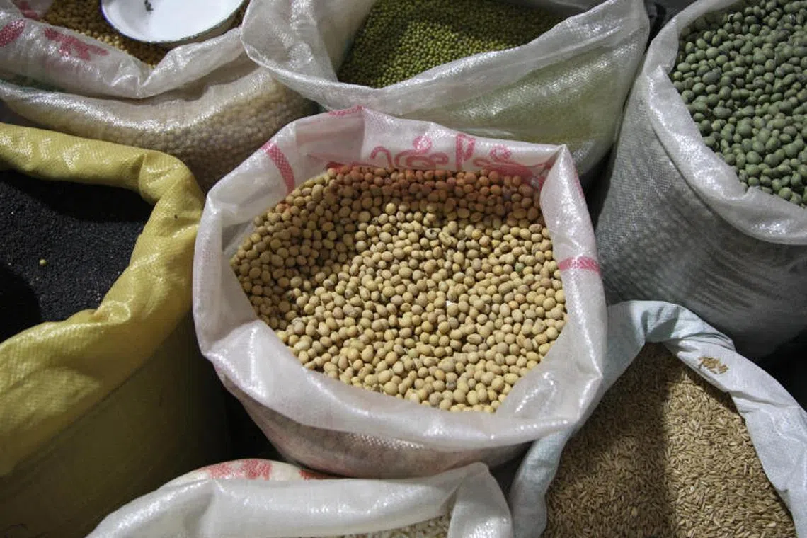 China imported roughly 105 million metric tons of soybeans last year, just under a quarter coming from the US and the remainder from Brazil.