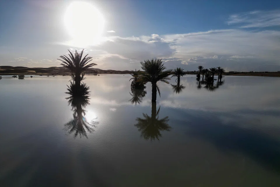 A rare downpour has brought lakes and ponds at Morocco’s south-eastern desert back to life, with locals – and tourists – hailing it as a gift from the heavens.