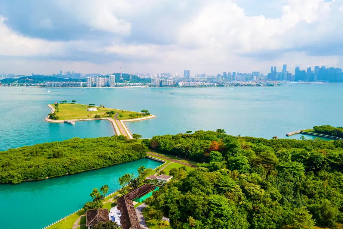 Tiny Away Escape @ Lazarus Island offers an exciting off-the-beaten-track staycation that combines sustainability with scenic island views.