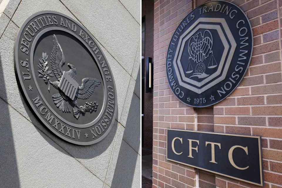 Many countries have a single regulator for financial markets, but in the US the SEC oversees stock and bond activities while the CFTC polices derivatives trading. 