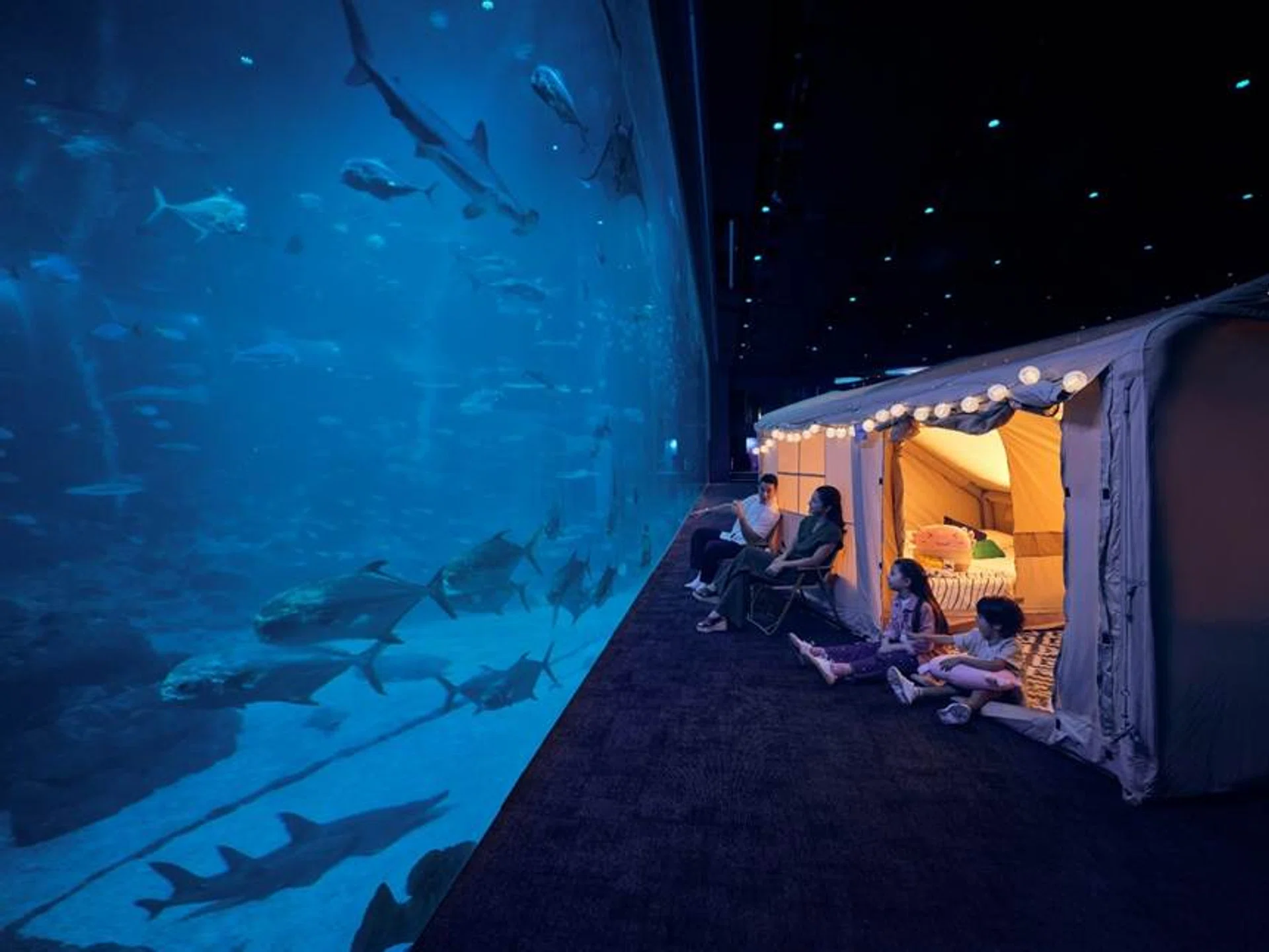 Sleeping with the fishes at the Singapore Oceanarium