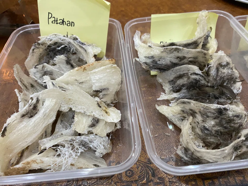 The bird’s nest industry, once a niche market, has now become a thriving sector in Indonesia’s economy. 