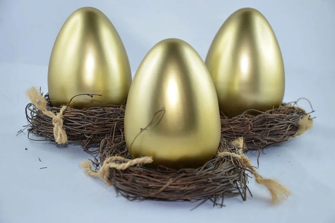 More young investors turning to SRS for retirement needs