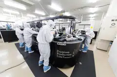 The wholesale price data is among factors the Bank of Japan scrutinises as a leading indicator of consumer inflation, which is the central bank’s main gauge in setting monetary policy.