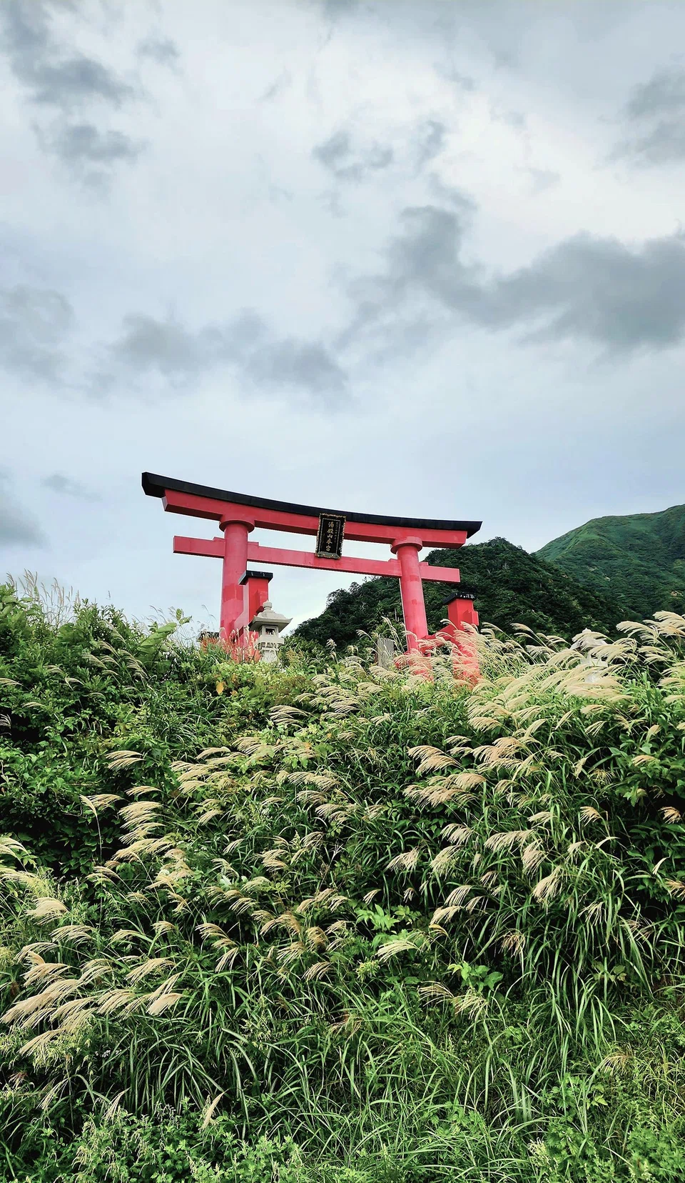 The giant torii gate at the entrance to Yudono shrine complex.