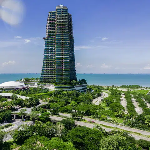 6 family offices approved to operate in Forest City