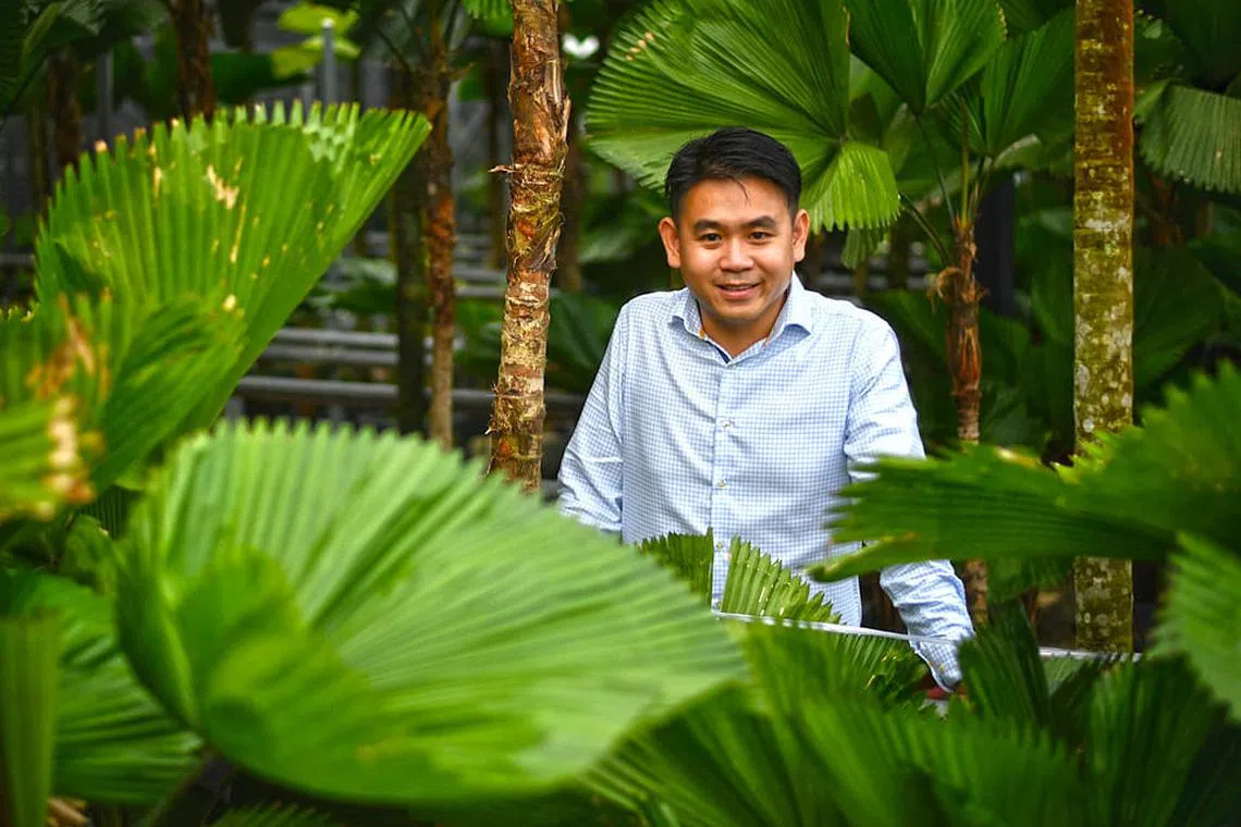 Greening Singapore in myriad ways