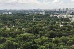A view of the plots of land near Singapore Botanic Gardens that were part of the land swop deal.