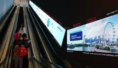 A certain failure rate may be a worthy price to pay for those emerging companies that do eventually flourish.