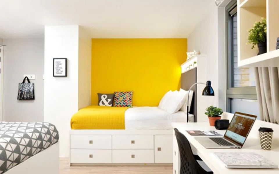 The student housing sector has become a core pillar in the investment strategies of property players and investors, given its resilience and attractive returns.