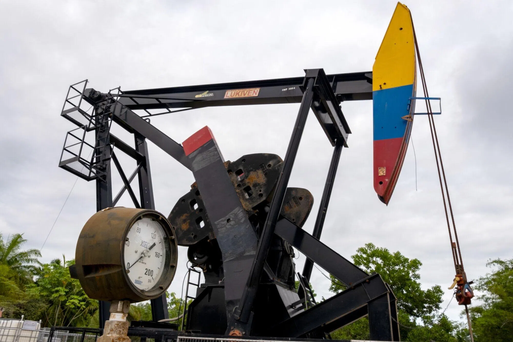 Brent crude futures rose 31 cents, or 0.5 per cent, to settle at US$61.32 a barrel on Tuesday.