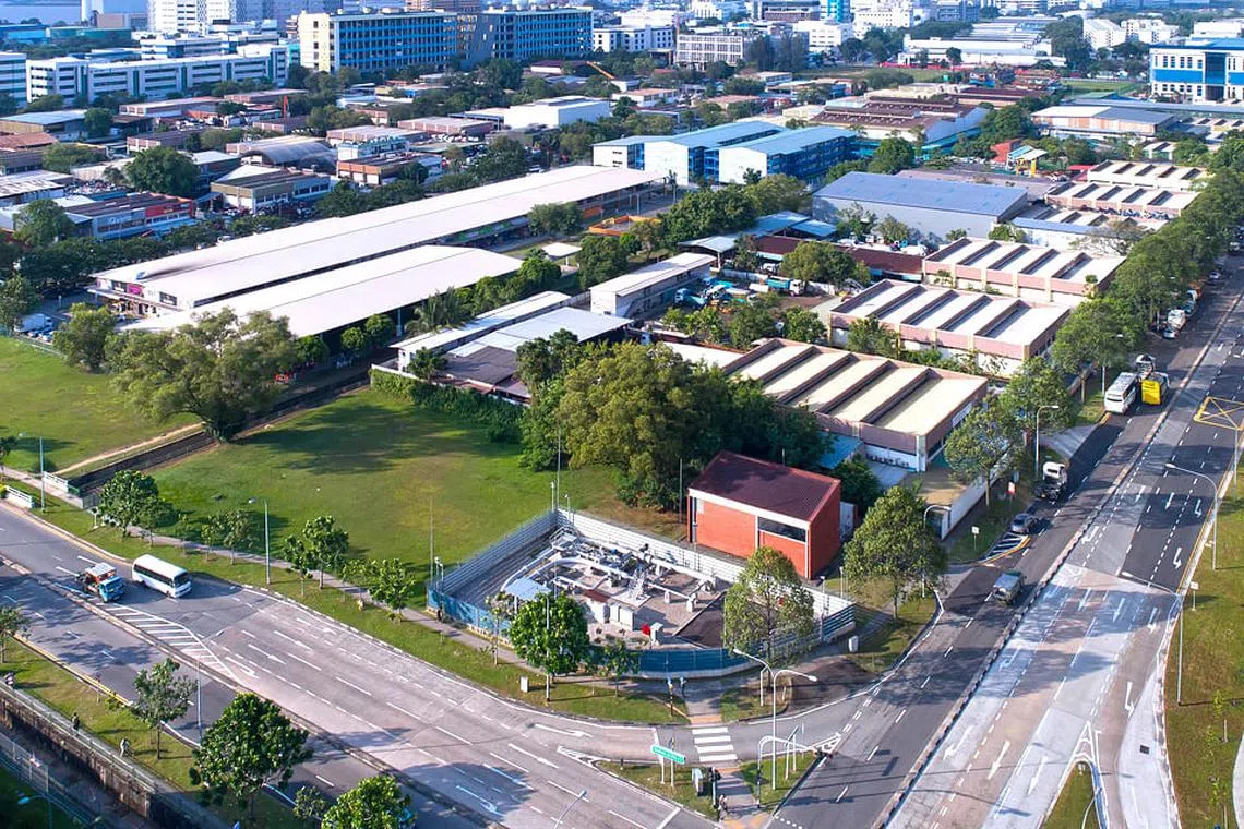 Woodlands: Industry's magnetic north