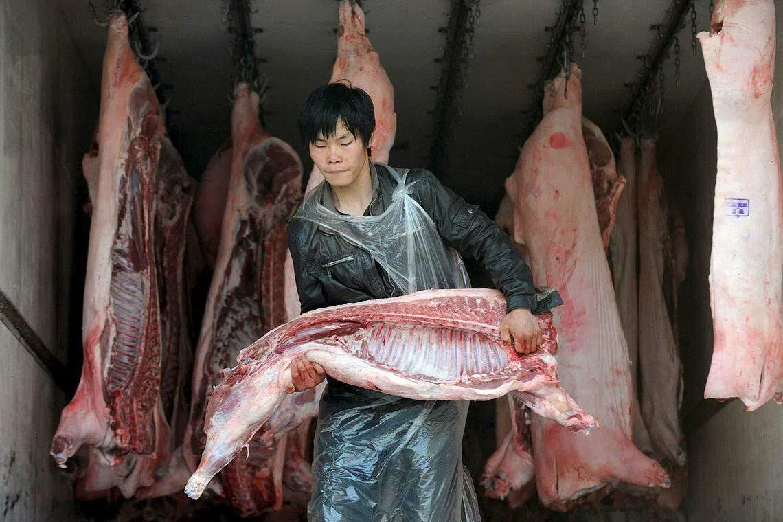 China's hog prices to extend rebound in near future: official