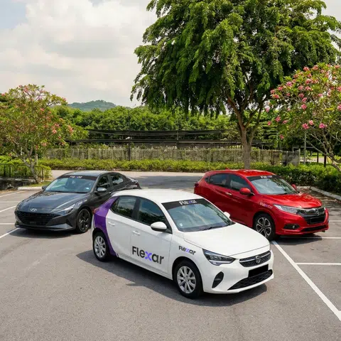 BlueSG’s new service Flexar to begin public testing