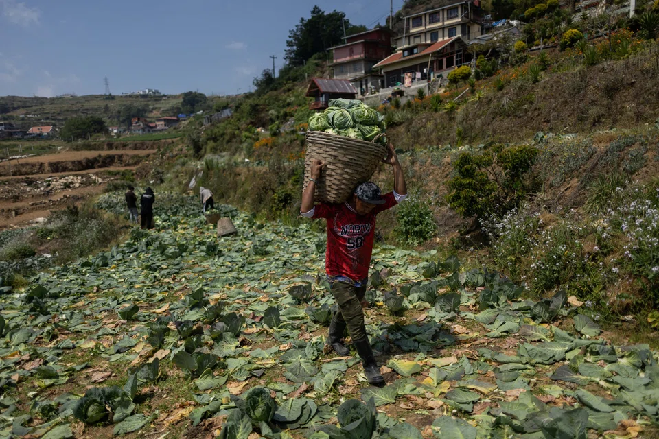 Asean's booming population equates to a higher demand for supplies of safe, nutritious food as well as reliable sources of energy.