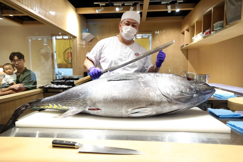 Right now, tuna is probably one of the most sustainable wild fish you can eat; 99.3% comes from sustainable stocks, according to a report released by the Food and Agriculture Organization, with 87% of stocks now being fished sustainably.