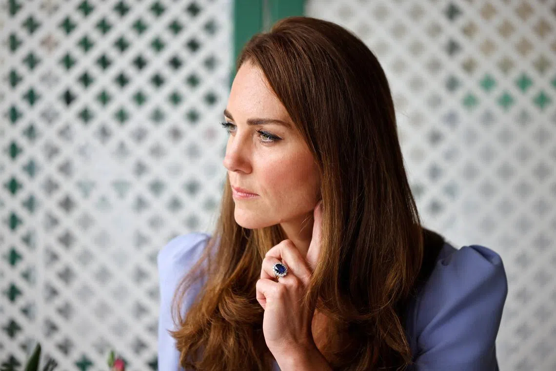 Catherine, the Princess of Wales, also known as Kate, chose costumes, paintings and furniture from the V&A’s large collection for her “mini display”.